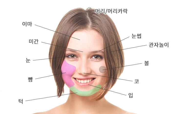 頭や顔のパーツの韓国語 初心者が覚えておきたい語彙は 気になるkorean